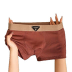 Lifestyle shot of brown boxer briefs with soft fabric and comfortable fit, displayed against a studio background.